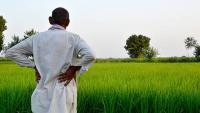 Maharashtra Farmer Suicide Cases Cross 13,000 In 4.5 Years; Leader Asks Government To Deliver On ‘Double Income’ Promise