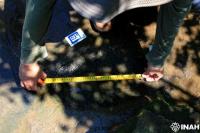 Michoacán Tyrannosaurs, Raptors and ‘Duck-Billed’ Dinosaurs: Mexico Confirms Discovery of 50 Footprints in Apatzingán