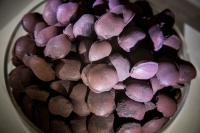 Iron ore declines to two-year low as demand outlook weakens