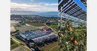"Agrivoltaics as an additional source of income and an investment in the next generation"