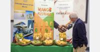 India has the mangoes. But what can it learn from Peru?