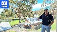 Scammers target major holiday parks across Australia in cybersecurity breach 