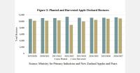 Apple harvest forecast to reach 590,000 tons in New Zealand 2026/27
