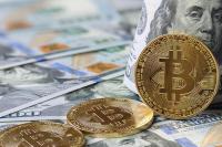 Why New Cryptocurrency Adoption Still Divides American Investors