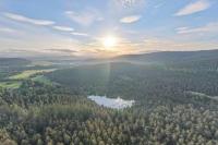 Forestry leaders warn against Scottish Government 'super agency' merger