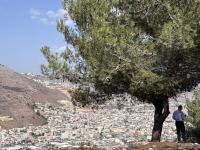 Palestinian citizens of Israel fear they’re next target if far-right wins