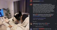 Pennant Attacked By German Shepherd, Saved By Own Dog