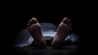 Tourist guide dies after elephant attack at Aluthgama temple