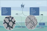 Equinor, Aker BP join forces to unlock Norway’s tight reservoir resources