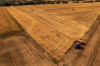 Europe’s Corn Belt Faces Historic Harvest Losses as Drought Reshapes Farming