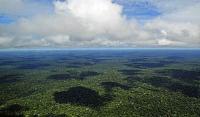 Environmentalists celebrate Lula’s reelection in Brazil: ‘The Amazon can breathe sigh of relief’