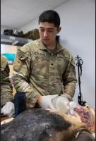 Infantry Regiment Medics Sweep Fort Campbell’s Grueling "Best Medic" Competition