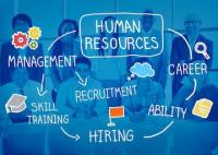 Business Department Launches New HR Degree, Certificate