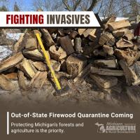Untreated firewood from outside Michigan no longer allowed beginning in 2027