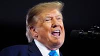 Trump offers $1M reward for reporting voter fraud days before midterm elections