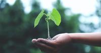 Ping An expands insurance protection through biodiversity programme