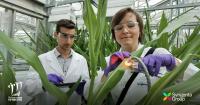 A Decade at the Top: Syngenta Named Agriculture's Leading Employer by Science Magazine for 10th Successive Year