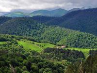 Over 100 Armenian NGOs oppose environmental amendments