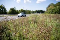 National Highways adds suicide prevention to design standards