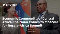 Economic Community of Central Africa Chairman Comes to Moscow for Russia-Africa Summit