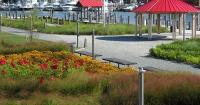 Lewes Parks and Rec Commission puts the brakes on a public art project for now