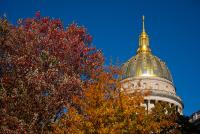 Six West Virginia state house races to watch next week