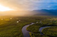 UN Biodiversity Conference secures new nature finance pledges worth $500m