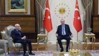 President Erdoğan hosts MHP leader to discuss key political issues