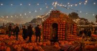 Owners celebrate 'double whammy' as Essex pumpkin patch named Britain's best