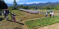 ICAR Basar Promotes Diversified Vegetable Farming and Soil Conservation in Leparada﻿
