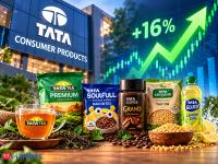 Tata Consumer shares rally over 4% after Q2 results. Why brokerages remain bullish despite target price cuts