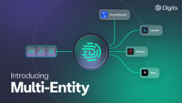 Digits Launches Multi-Entity: Separate Books, One Business