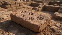 A Dog Walked Across Wet Clay 4,000 Years Ago. Archaeologists in Turkey Found Its Paw Prints