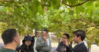 Italian table grapes move step closer to Thai market access