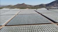 Solgrapes Multiseason: Solplast highlights field research, crop protection and global manufacturing strength at ITGS 2026