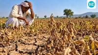 Eight farmers died by suicide a day from Jan 2022 to June 2026 in Maharashtra: RTI
