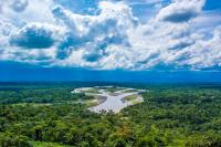 Tropical Forest Conservation: Ecologist Zuzana Burivalova Wins the 2026 Pritzker Environmental Prize