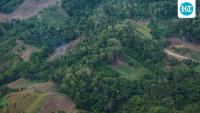 3 villages, 32,000 trees and endangered animals: NGO flags wildlife, tribal rights concerns over Karjat hydropower project