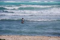 Coral in crisis: Stories from the front line