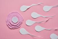 Ferring to buy fertility biotech Gameto for up to $1.38 billion