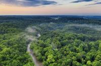 Biodiversity alliance offers chance to unite world around nature’s value
