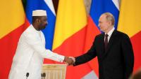 Putin to Meet 22 African Leaders at Moscow Summit