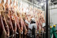 Meatco starts two-day temporary slaughter operation…beef strictly for domestic market 