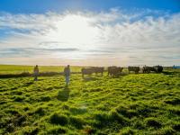 Court Finds North Dakota Beef Board Nomination Process Unconstitutional