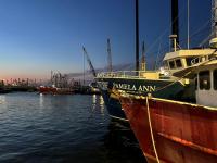 Trump Moves Again to Aid New Bedford Fishing Industry