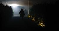 Halloween event at Snohomish farm has scary corn trails, maze and more
