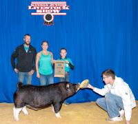 County 4-Hers do well at 94th Kansas Junior Livestock Show