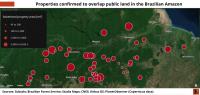 Brazil: The Amazon for sale online