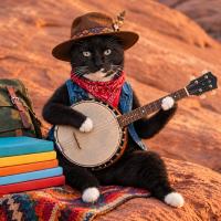 Cosmo's Corner: Banjo Music: The Sound of Happiness