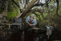 Tampa Bay’s best things to do, October 29-November 5, including a cypress swamp talk with NatGeo photographer Mac Stone